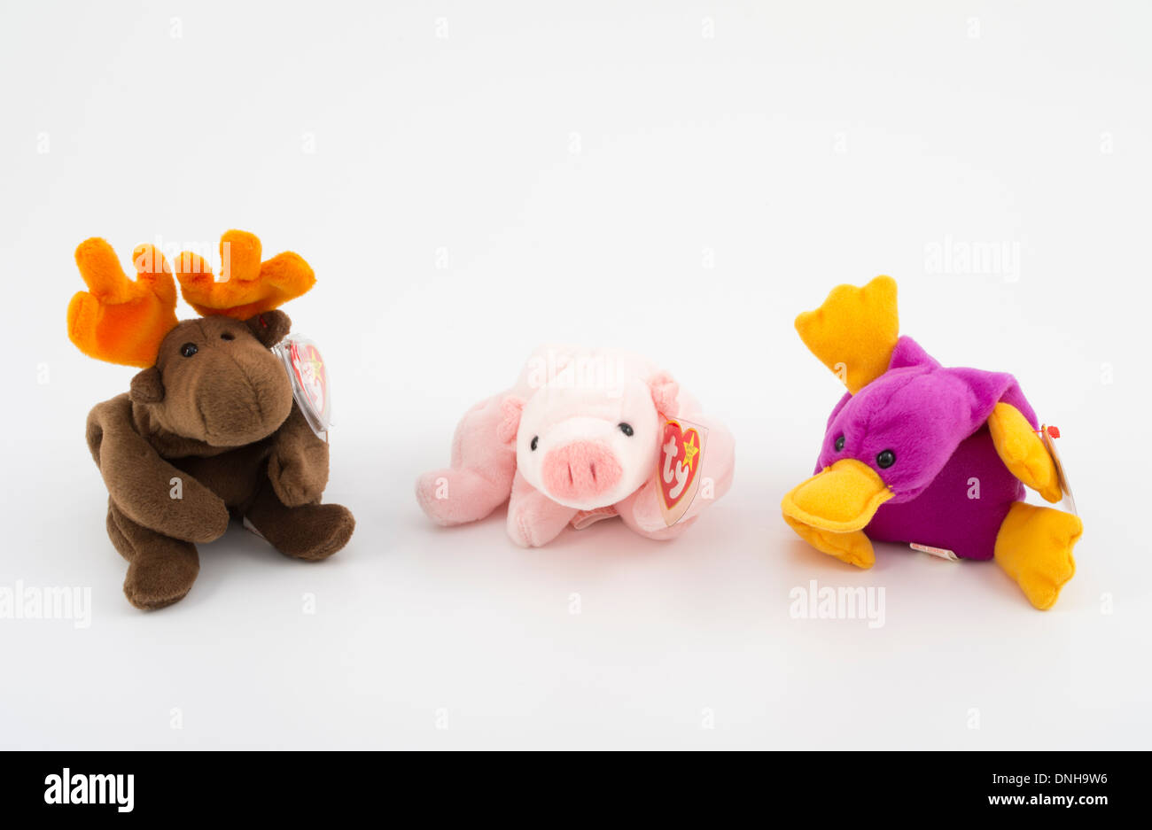 1993 Première génération Beanie Babies - chocolat l'orignal, le cochon Brille-babil, Patti l'Ornithorynque par Ty Warner Inc. Banque D'Images