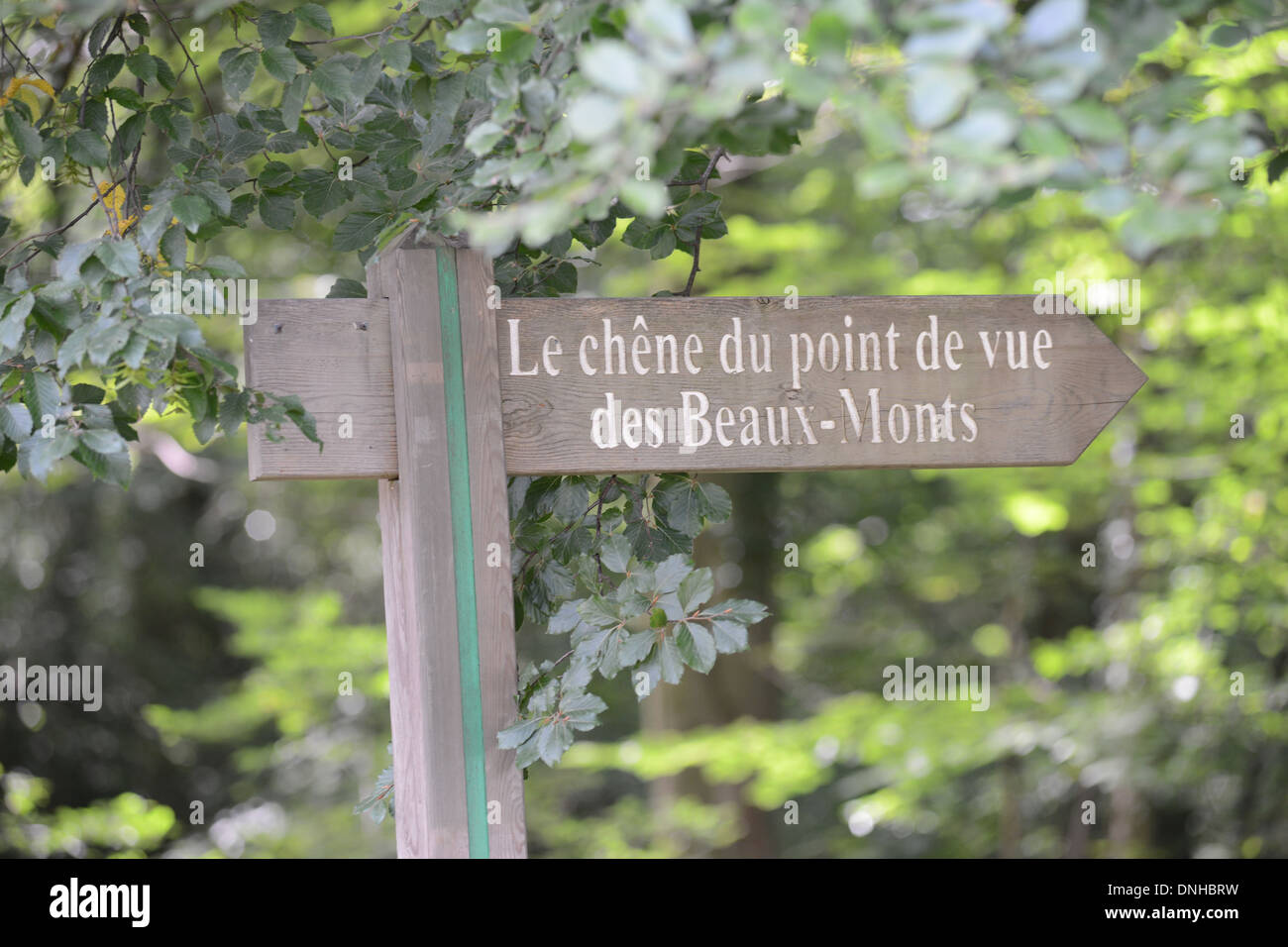 DIRECTION DANS LA FORÊT DE COMPIÈGNE, OISE, Picardie, France Banque D'Images