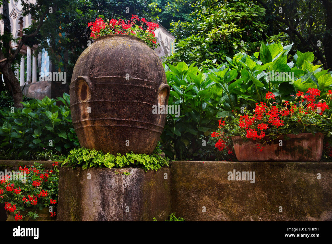 Les plantes dans le jardin, la Villa Cimbrone, Ravello, Province de Salerne, Campanie, Italie Banque D'Images