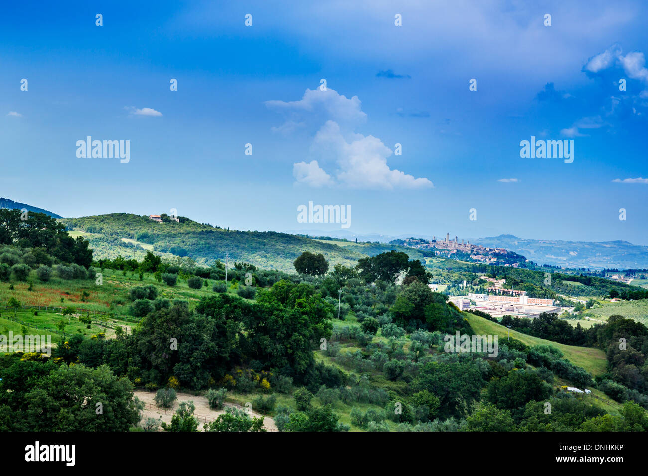 Arbres et plantes sur un paysage, Volterra, Province de Pise, Toscane, Italie Banque D'Images