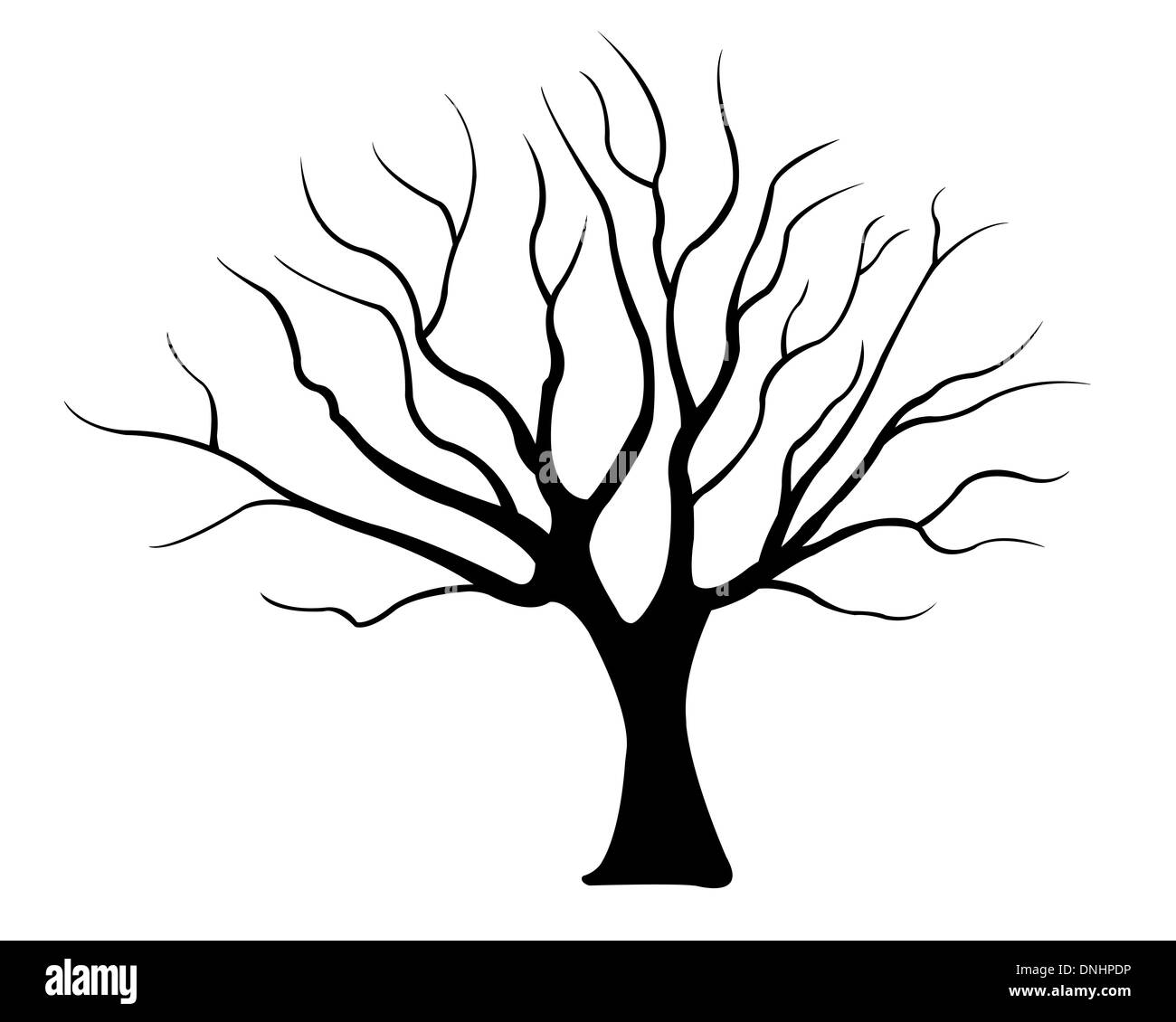 Branches d arbres illustration Banque d images noir et blanc Alamy