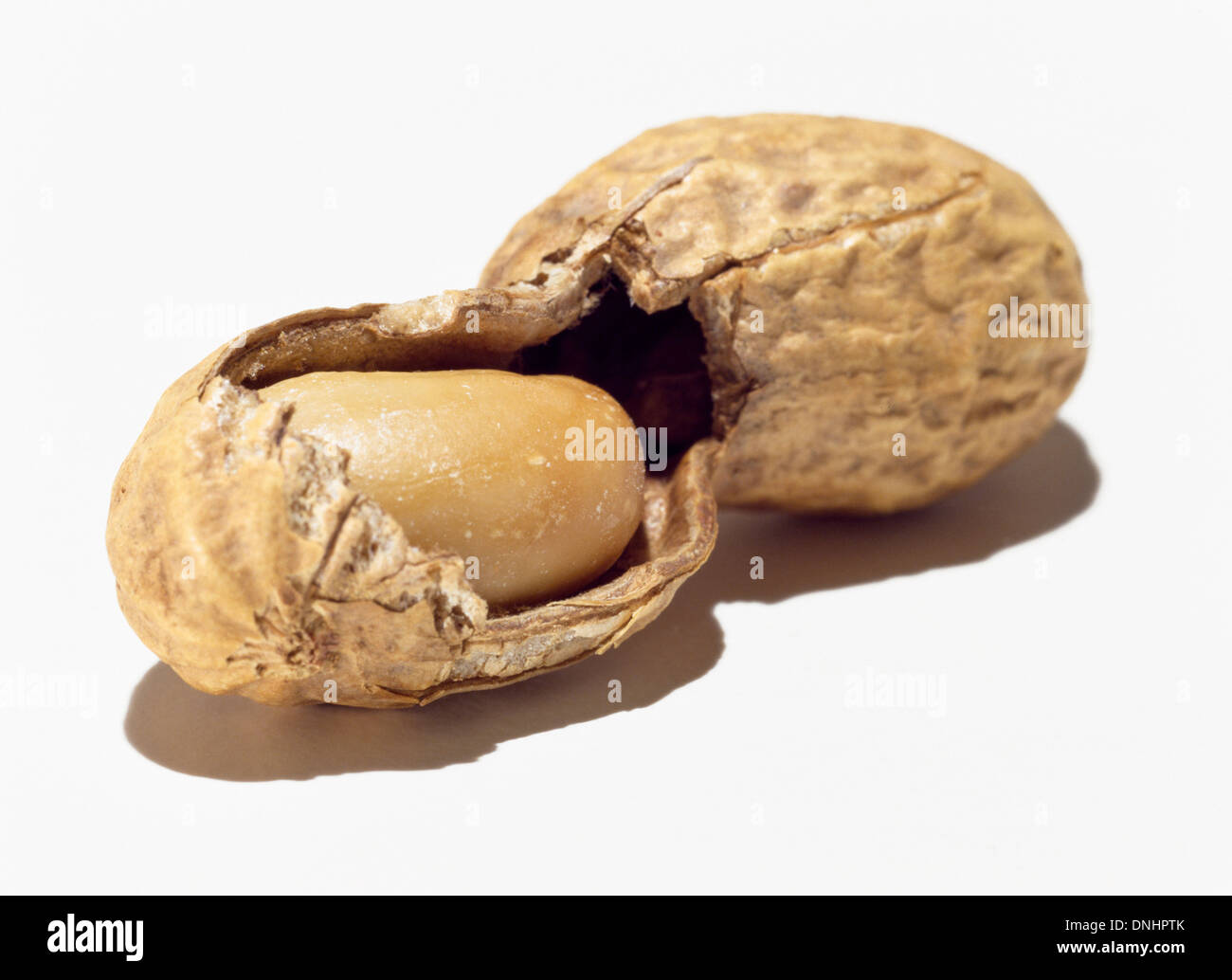 Demi ouvert peanut et shell sur un fond blanc. Banque D'Images