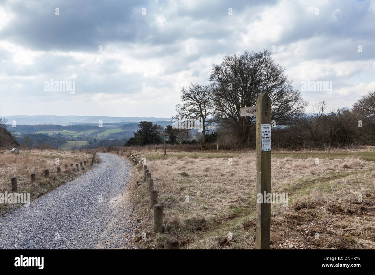 Campagne du Surrey : sentier d'hiver en bois avec fonction byway fingerpost et marcheurs, Newlands Corner près de Guildford, Royaume-Uni Banque D'Images