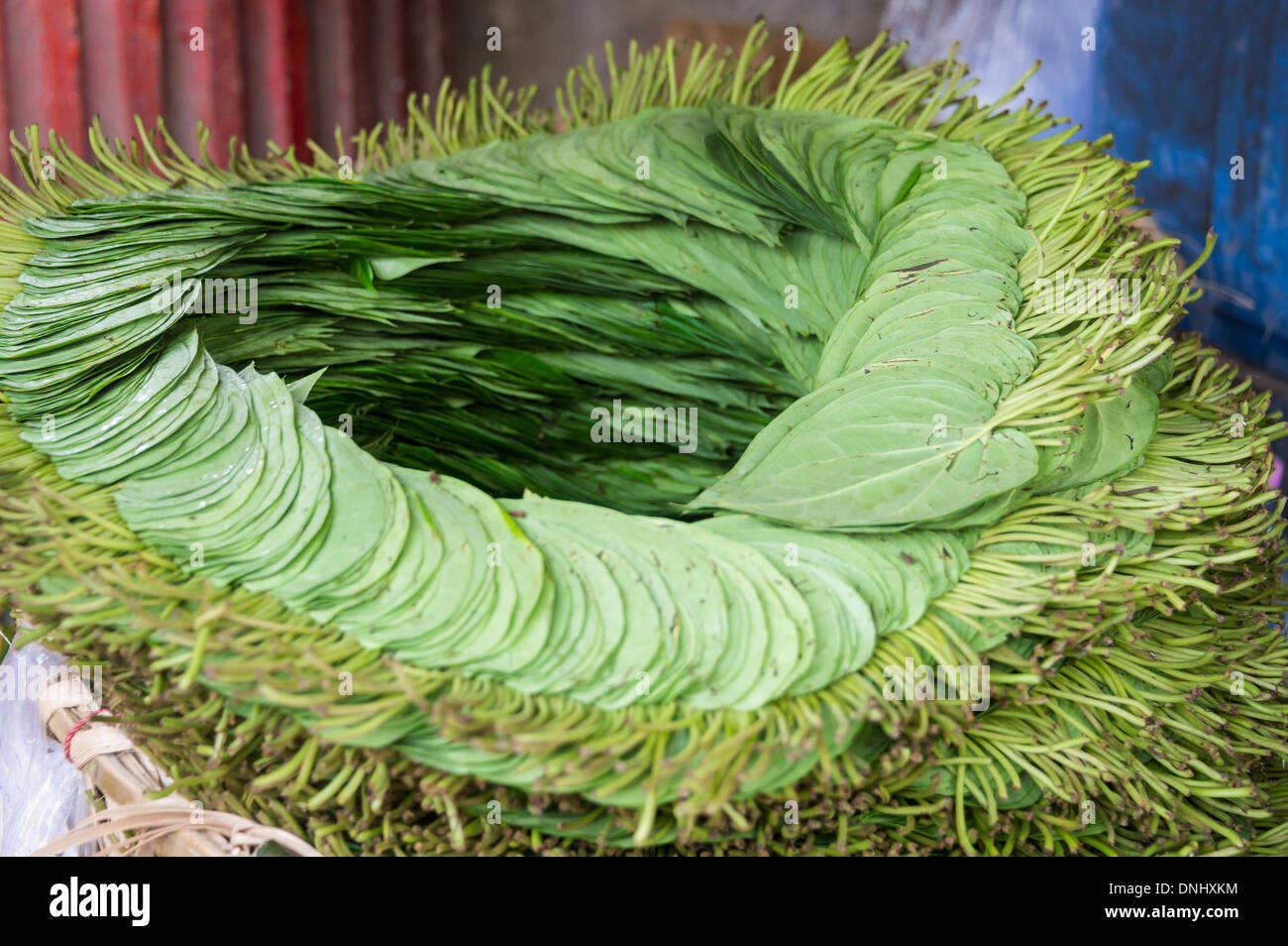 Feuilles de bétel dans un décrochage dans les rues de Yangon Banque D'Images