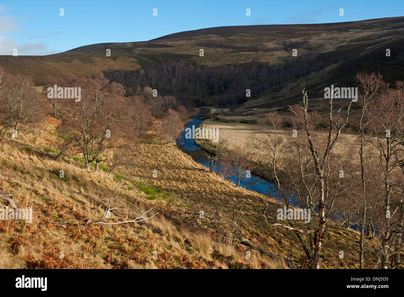 La rivière Fiddich comme elle serpente vers Dufftown et le Moray Firth. 9173 SCO. Banque D'Images