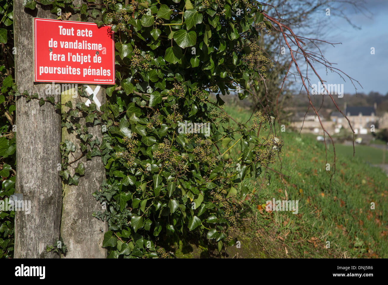 Signer l'interdiction TOUS LES ACTES DE VANDALISME DANS LA FORÊT, CANTON DE BRIX, MANCHE (50), FRANCE Banque D'Images