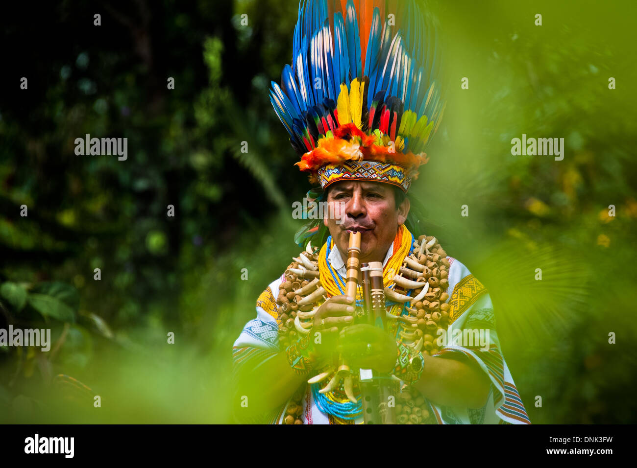 Un chaman de la tribu des kamentsá, portant un couvre-chef en plumes colorées, joue de la flûte pendant le carnaval en sibundoy, Colombie. Banque D'Images