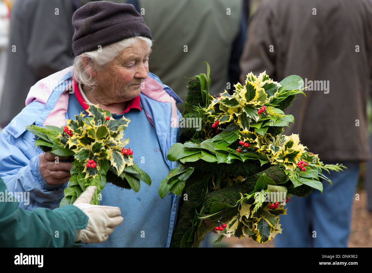 La vente aux enchères annuelle de GUI dans Tenbury, Shropshire. En photo, un acheteur avec des couronnes de houx. Banque D'Images