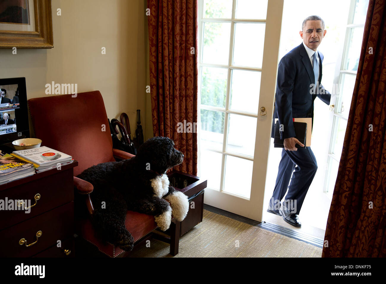 Bo le chien de la famille regarde le président américain Barack Obama entrez le bureau ovale extérieure à la Maison Blanche le 6 novembre 2013 à Washington, DC. Banque D'Images
