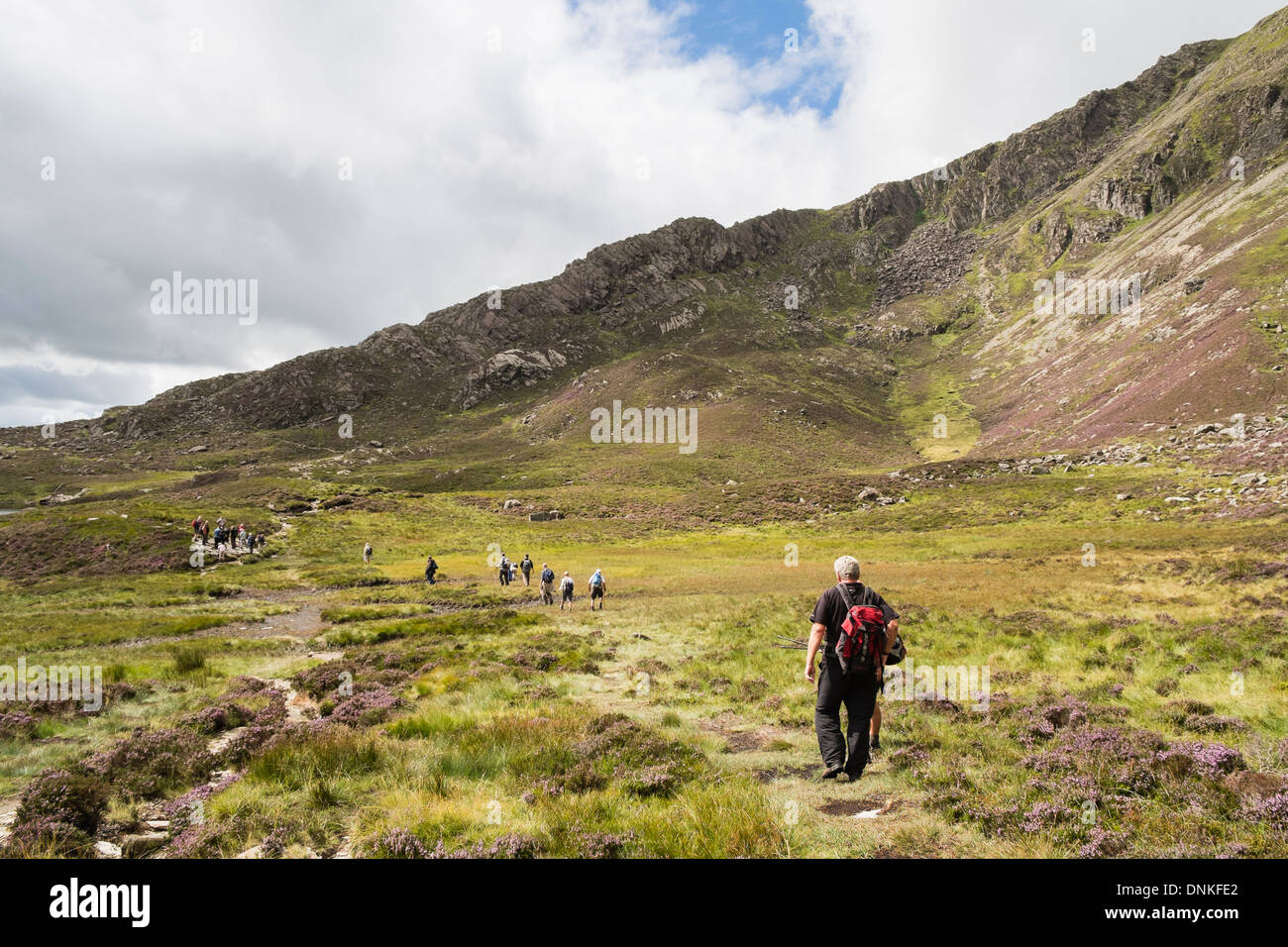 Chemin d'accès à Carnedd Moel Siabod des promeneurs crossing boggy mcg Foel à Daear Ddu ridge dans les montagnes de Snowdonia, le Nord du Pays de Galles, Royaume-Uni Banque D'Images