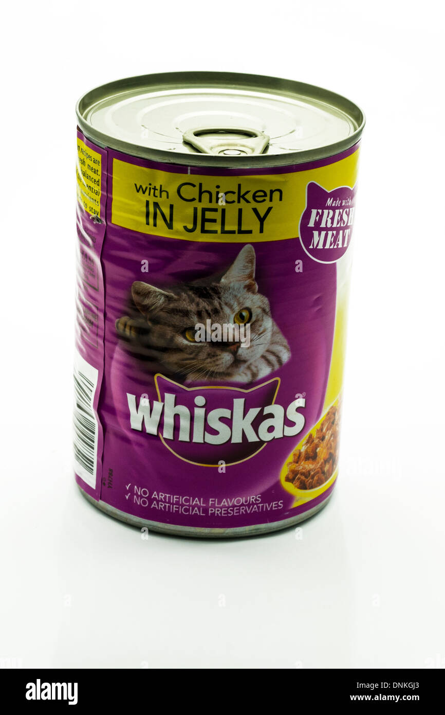 La nourriture pour chat Whiskas dans tin poulet en jelly découper fond blanc copy space Banque D'Images