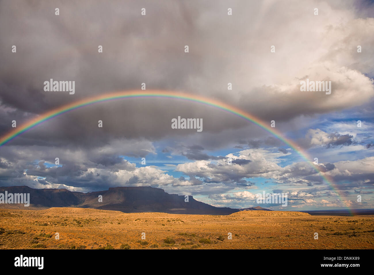 Un arc-en-ciel sur le parc national du Karoo en Afrique du Sud. Un arc-en-ciel sur le parc national du Karoo en Afrique du Sud. Banque D'Images