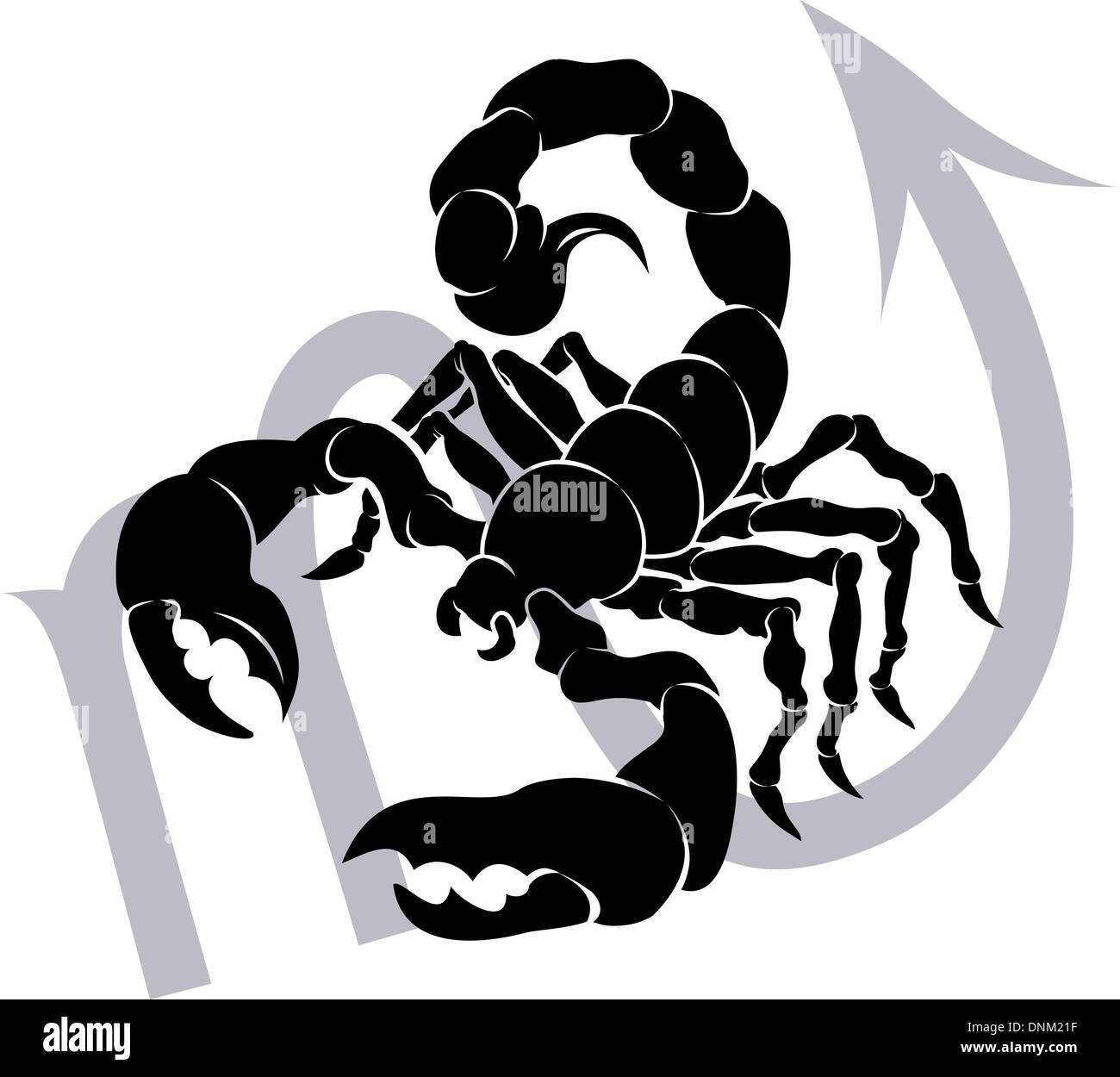 Illustration De Le Scorpion Astrologie Horoscope Zodiac Sign Image Vectorielle Stock Alamy