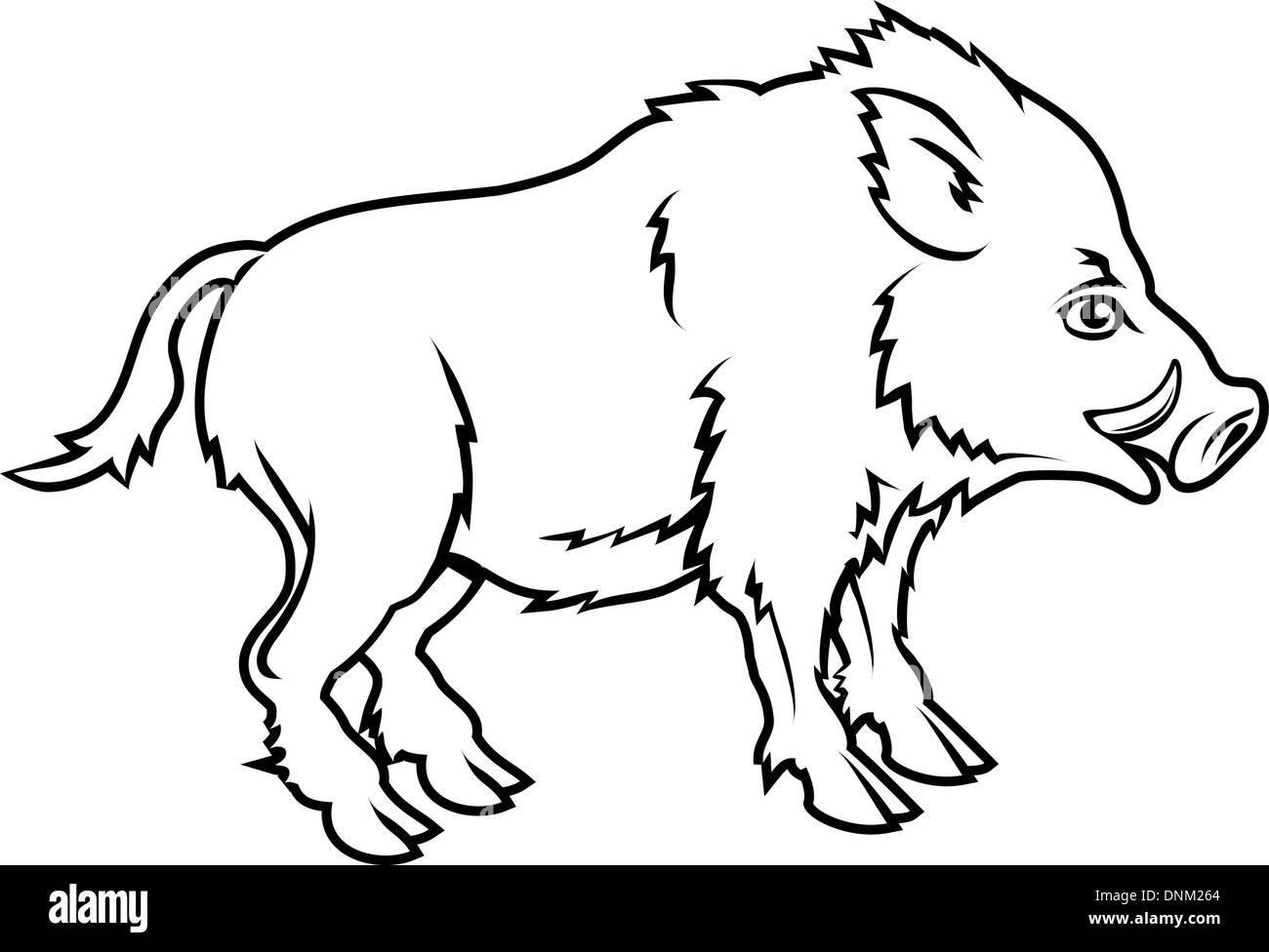 Une illustration d'un sanglier stylisé peut-être un tatouage de sanglier Illustration de Vecteur