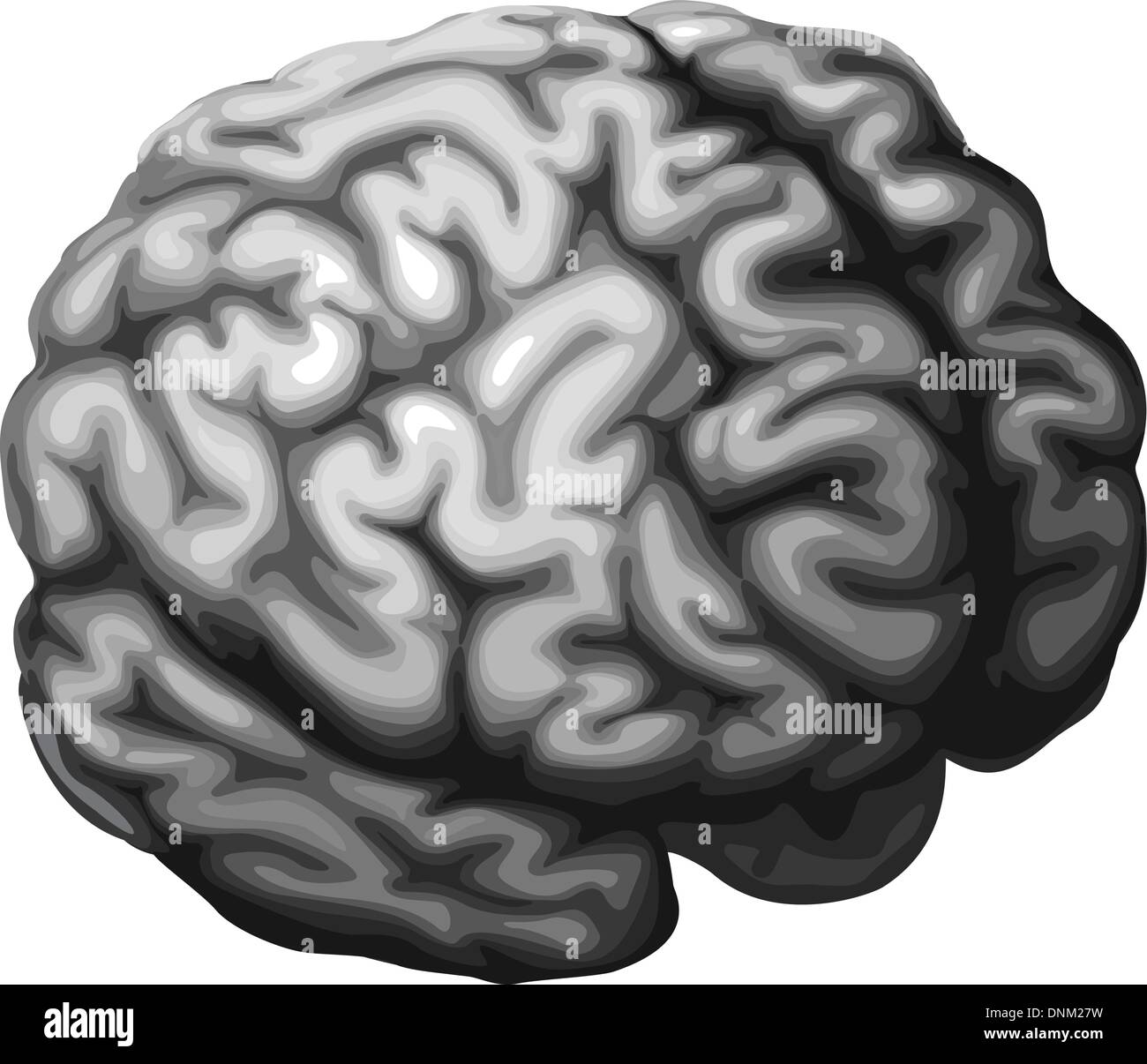 Illustration d'un cerveau monochrome dans des tons de gris Illustration de Vecteur
