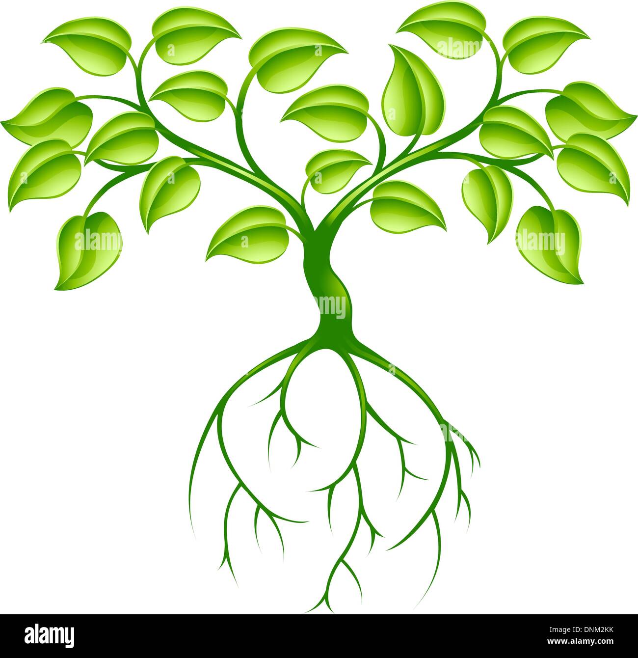Concept de design graphique de l'arbre vert avec de longues racines Illustration de Vecteur