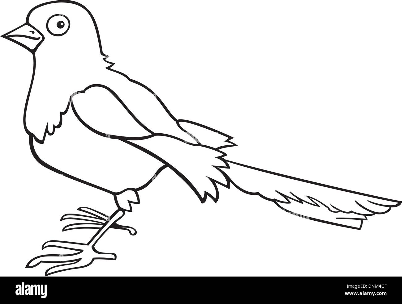 Illustration Du Livre De Coloriage Pour Les Oiseaux Pie Image 
