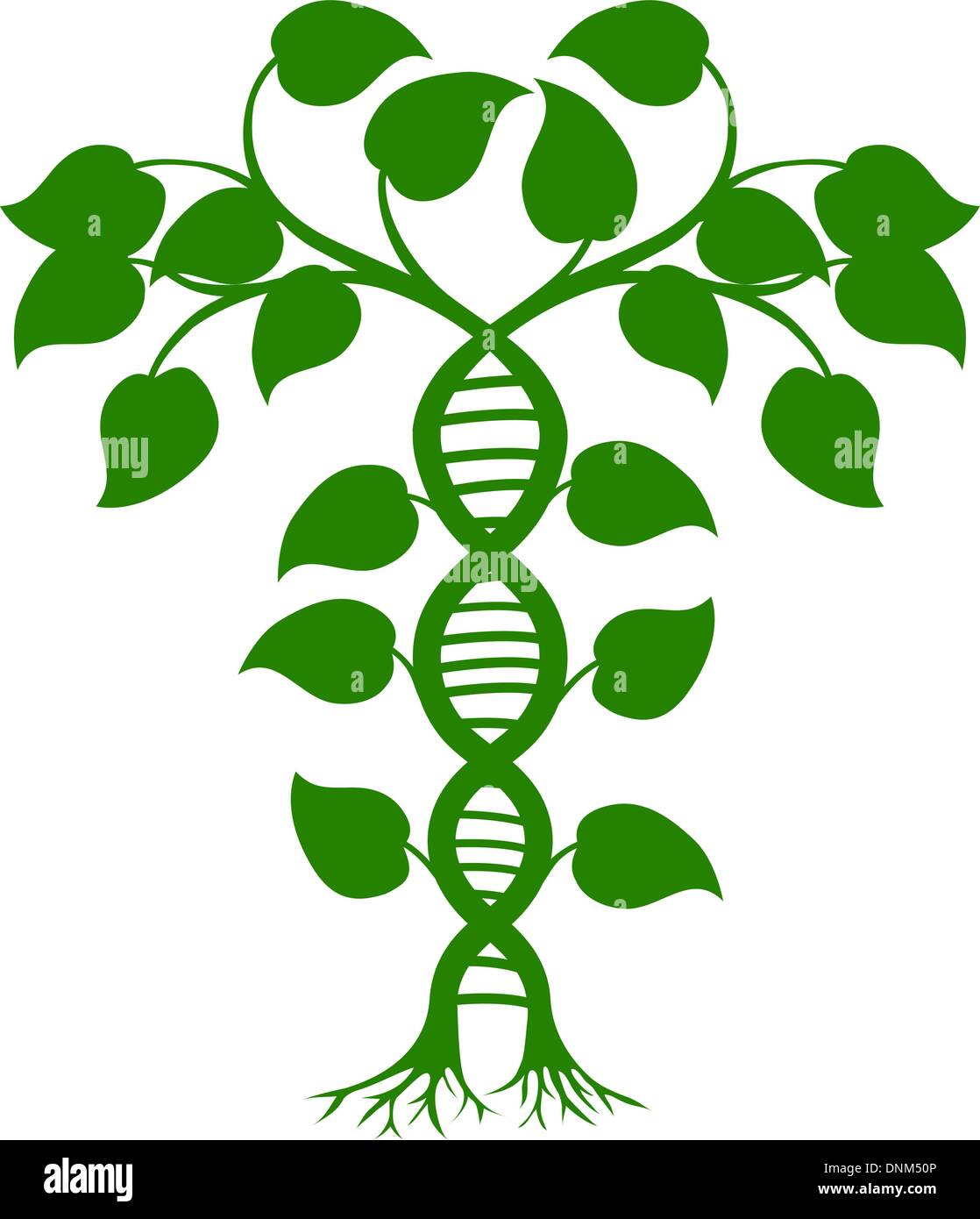 Illustration de l'arbre vert avec des arbres ou des vignes formant une double hélice d'ADN Illustration de Vecteur