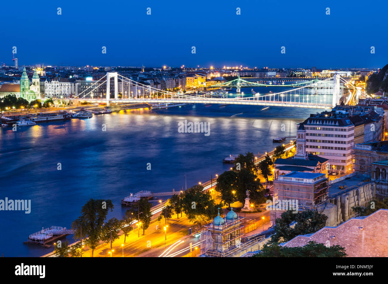 Budapest, Hongrie. Erszebet Szabadsag et pont sur la rivière Danube, nuit de l'image. Banque D'Images