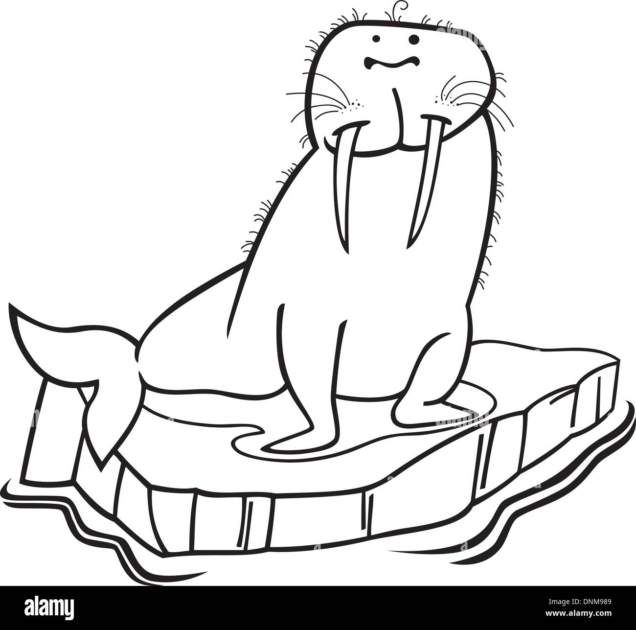 Illustrationof le morse sur la glace flottante pour colorer le bok Illustration de Vecteur Illustrationof le morse sur la glace flottante pour colorer le bok Illustration de Vecteur
