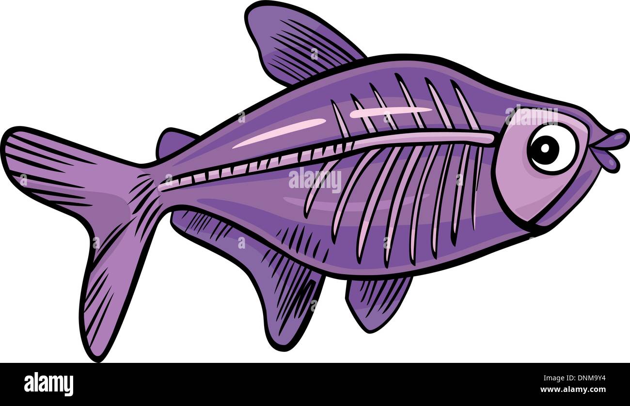 Cartoon illustration de poissons à rayons x Illustration de Vecteur