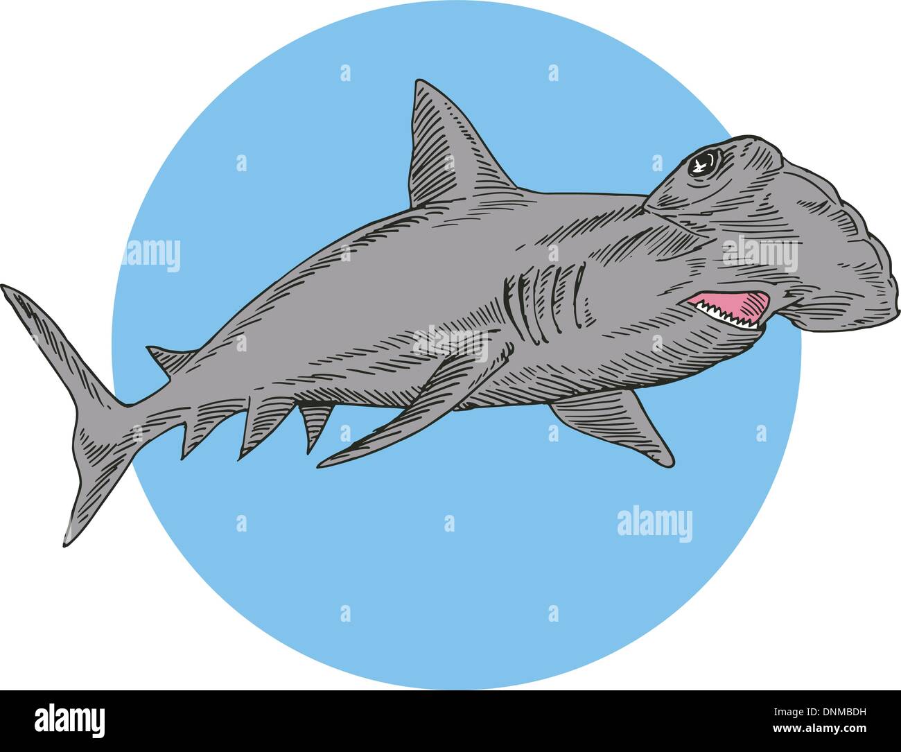 Illustration de natation de requins-marteaux fait en style rétro. Illustration de Vecteur