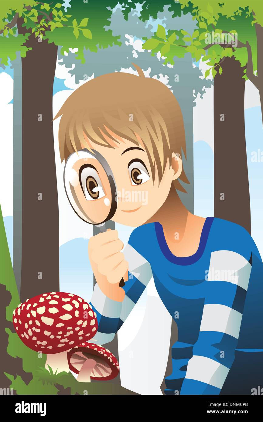 Un vecteur illustration d'un garçon à travers une loupe à la découverte dans la forêt de champignons sauvages Illustration de Vecteur