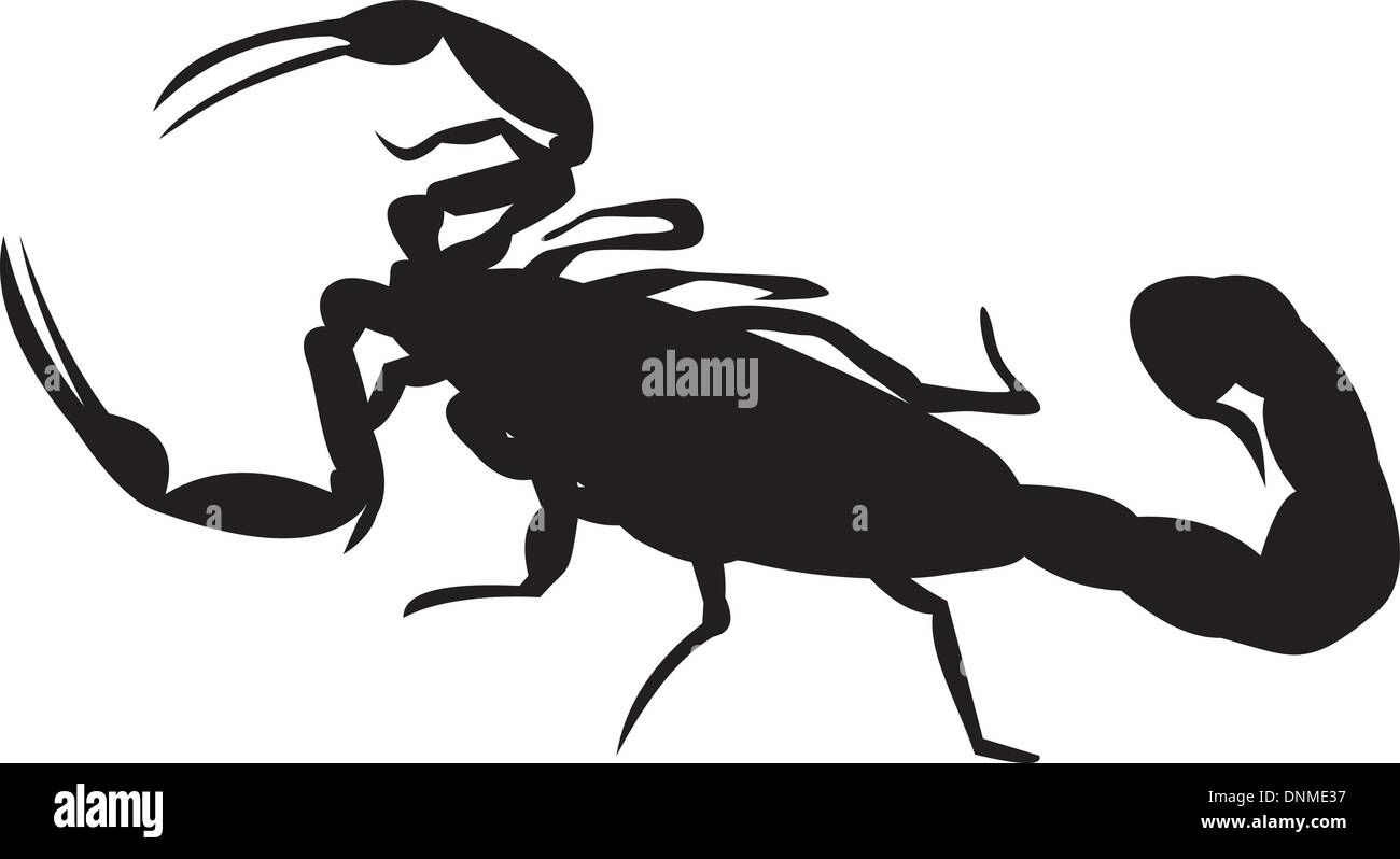 Illustration d'un scorpion. Illustration de Vecteur