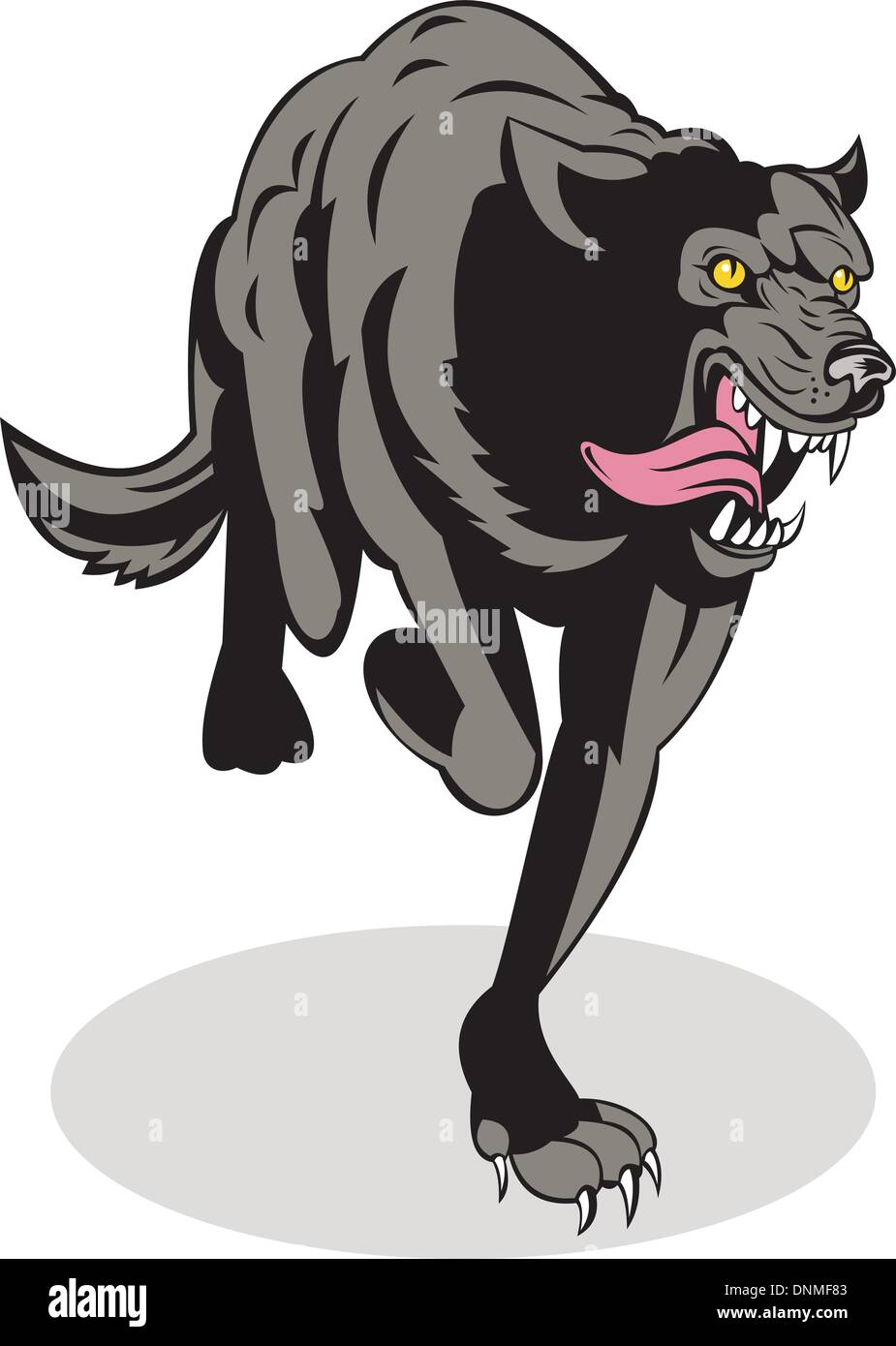 Illustration d'un chien sauvage attaque loup fait dans le style rétro sur fond isolé Illustration de Vecteur