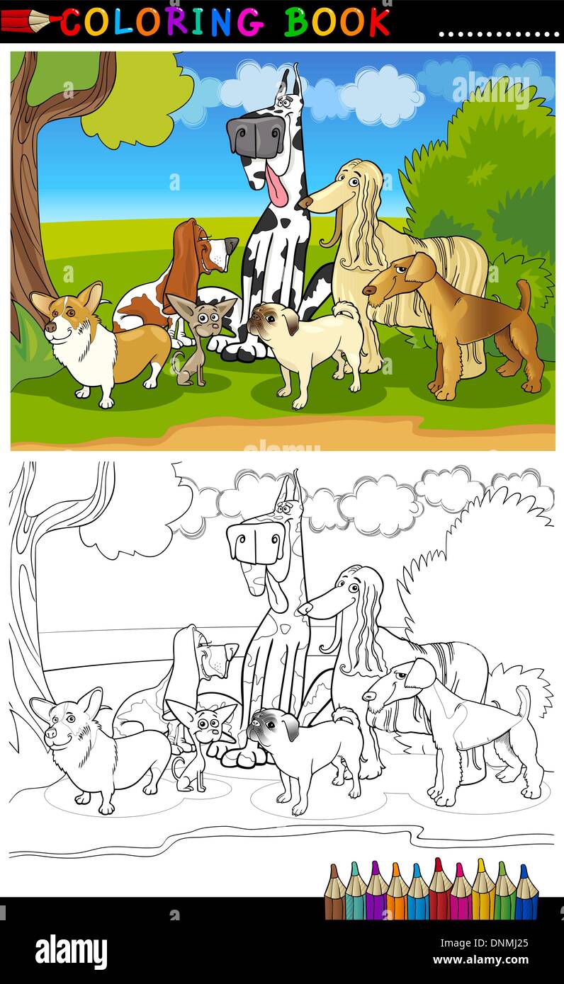 Cartoon Illustration de chiens de race drôle comme Corgi, Pug, Basset, Chihuahua et Lévrier Afghan Livre à colorier Pour colorier ou Pa Illustration de Vecteur