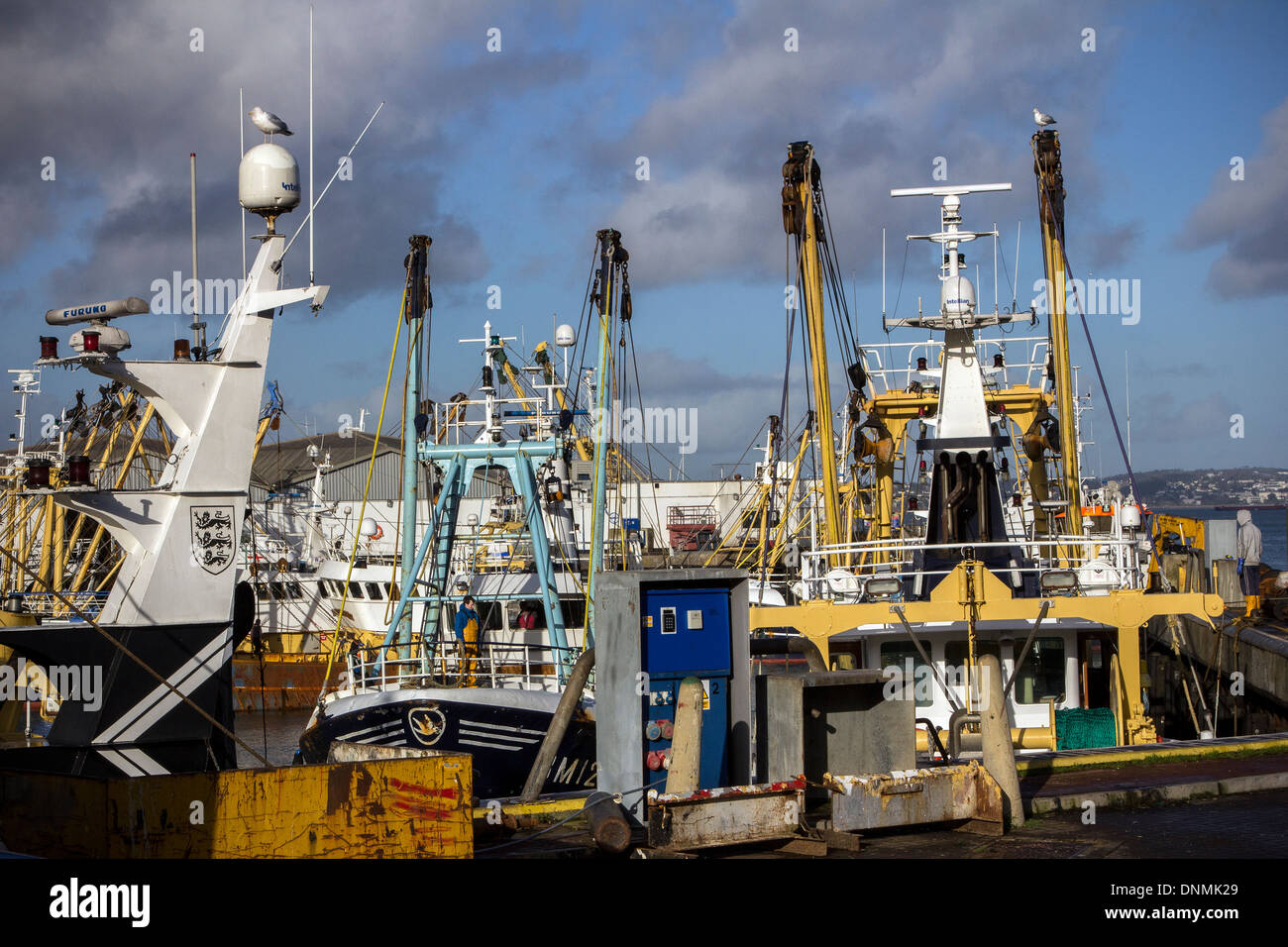Pêche, voile, Brixham, flotte de pêche.les poissons, marché, flotte, fishingboat, mer, pêcheur, trawler, moderne, port, pêche, littoral, Banque D'Images