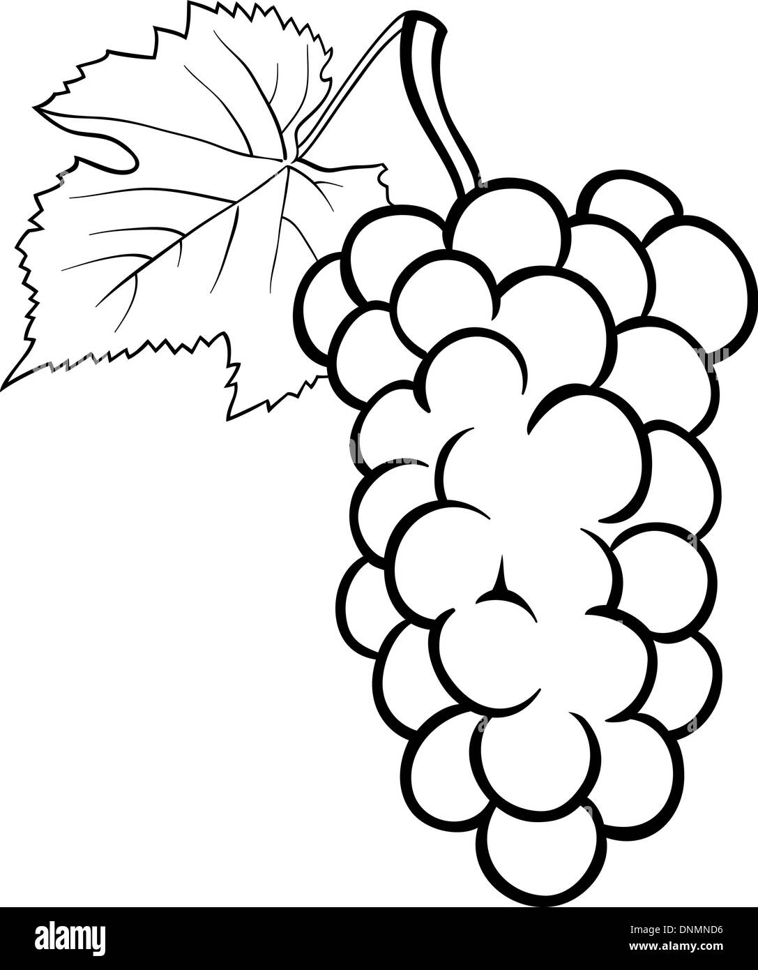 Cartoon noir et blanc Illustration de grappe de raisins ou Grapevine Fruit Nourriture Objet pour Coloring Book Illustration de Vecteur