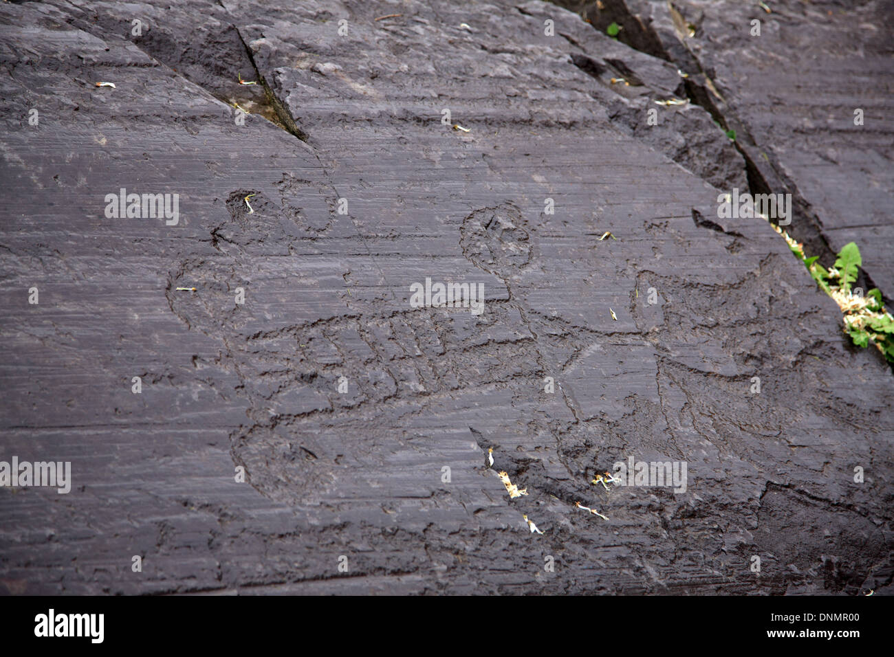 Art rupestre du Valcamonica, Italie, Lombardie, Province de la Vallée Camonica, Brescia, Capo di Ponte, UNESCO World Heritage Banque D'Images