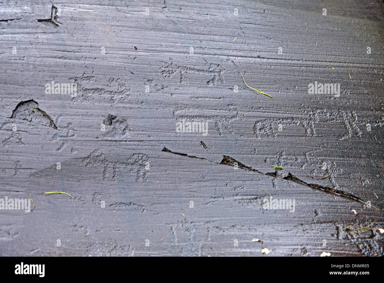 Art rupestre du Valcamonica, Italie, Lombardie, Province de la Vallée Camonica, Brescia, Capo di Ponte, UNESCO World Heritage Banque D'Images