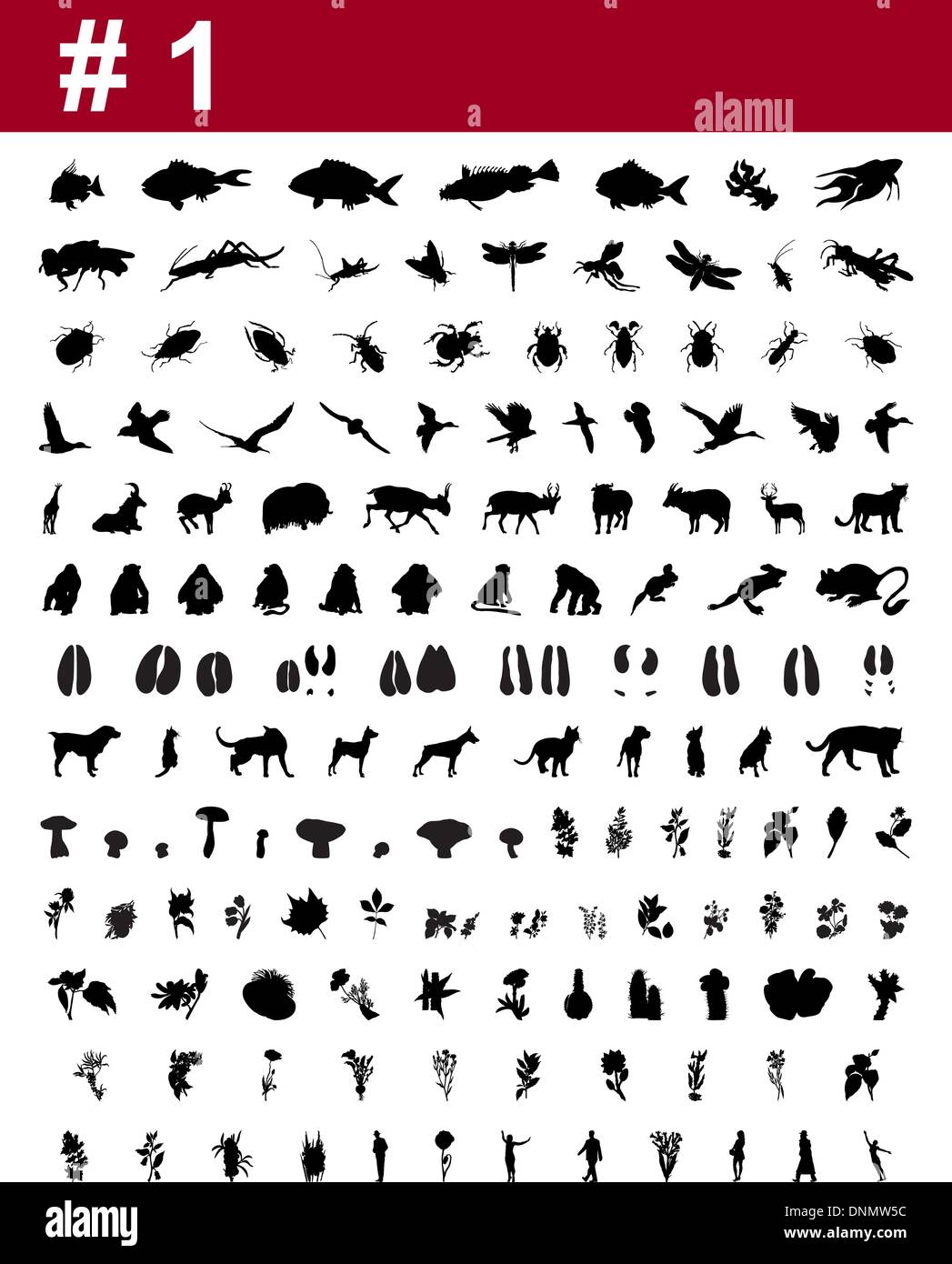 Grande collection de silhouettes vecteur collage de personnes, d'animaux, oiseaux, poissons, insectes et fleurs Illustration de Vecteur