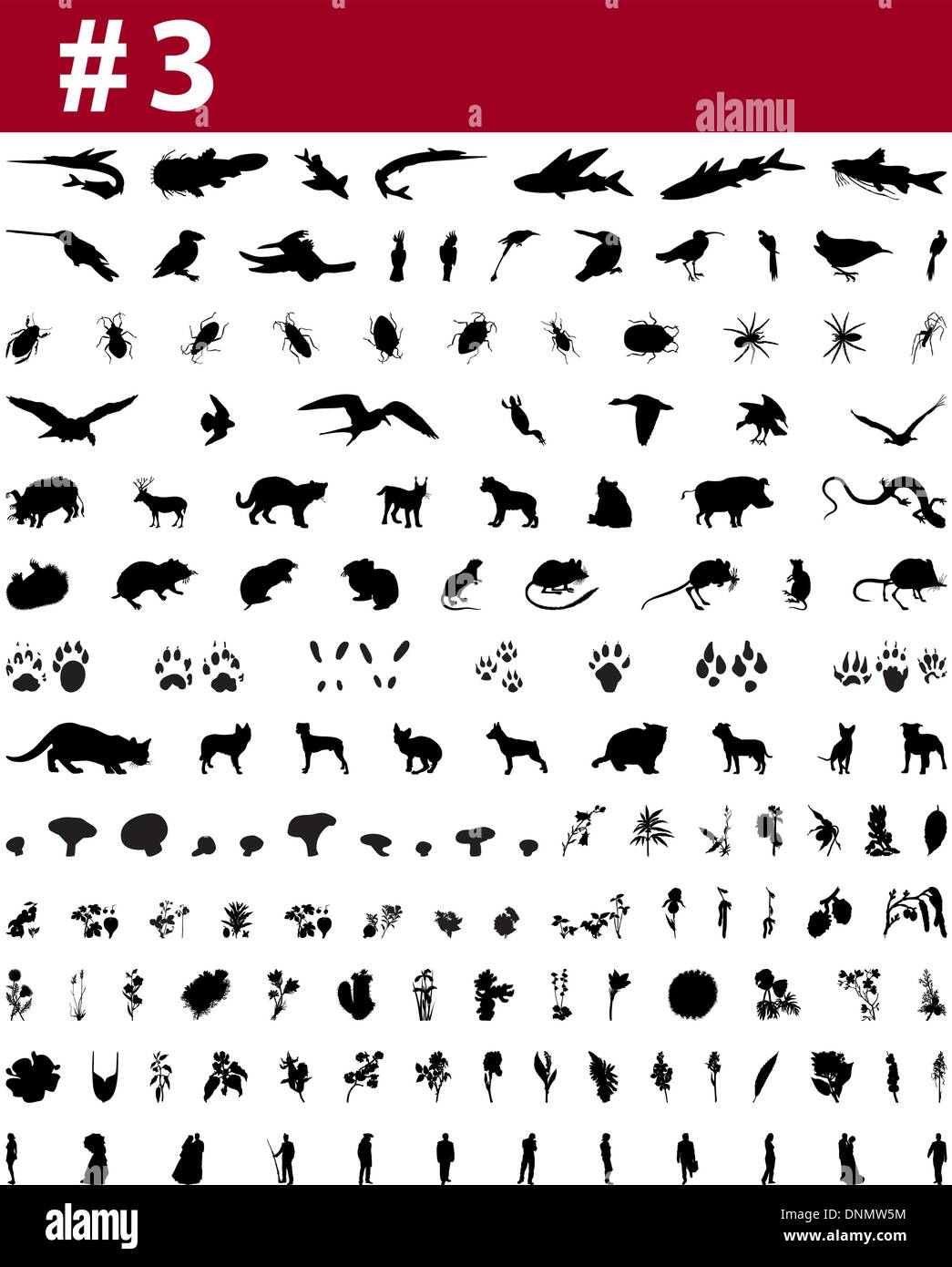 Grande collection de silhouettes vecteur collage de personnes, d'animaux, oiseaux, poissons, insectes et fleurs Illustration de Vecteur