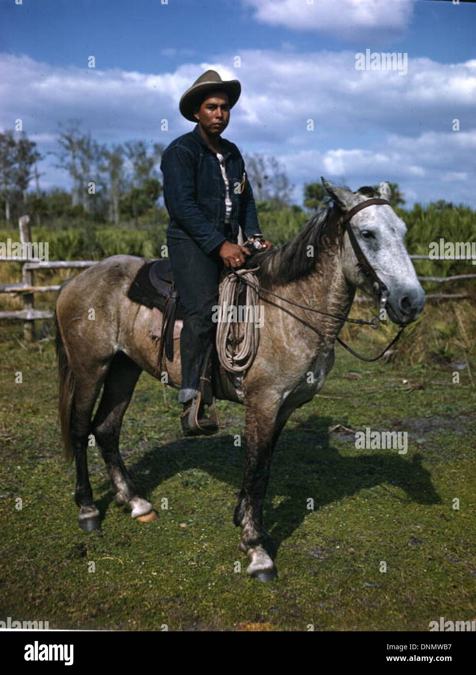 Un éleveur Seminole se dresse sur la réserve de Brighton en Floride dans les années 1940, photographié par Joseph Janney Steinmetz. L'image met en évidence la vie des Amérindiens et la culture du bétail. Banque D'Images