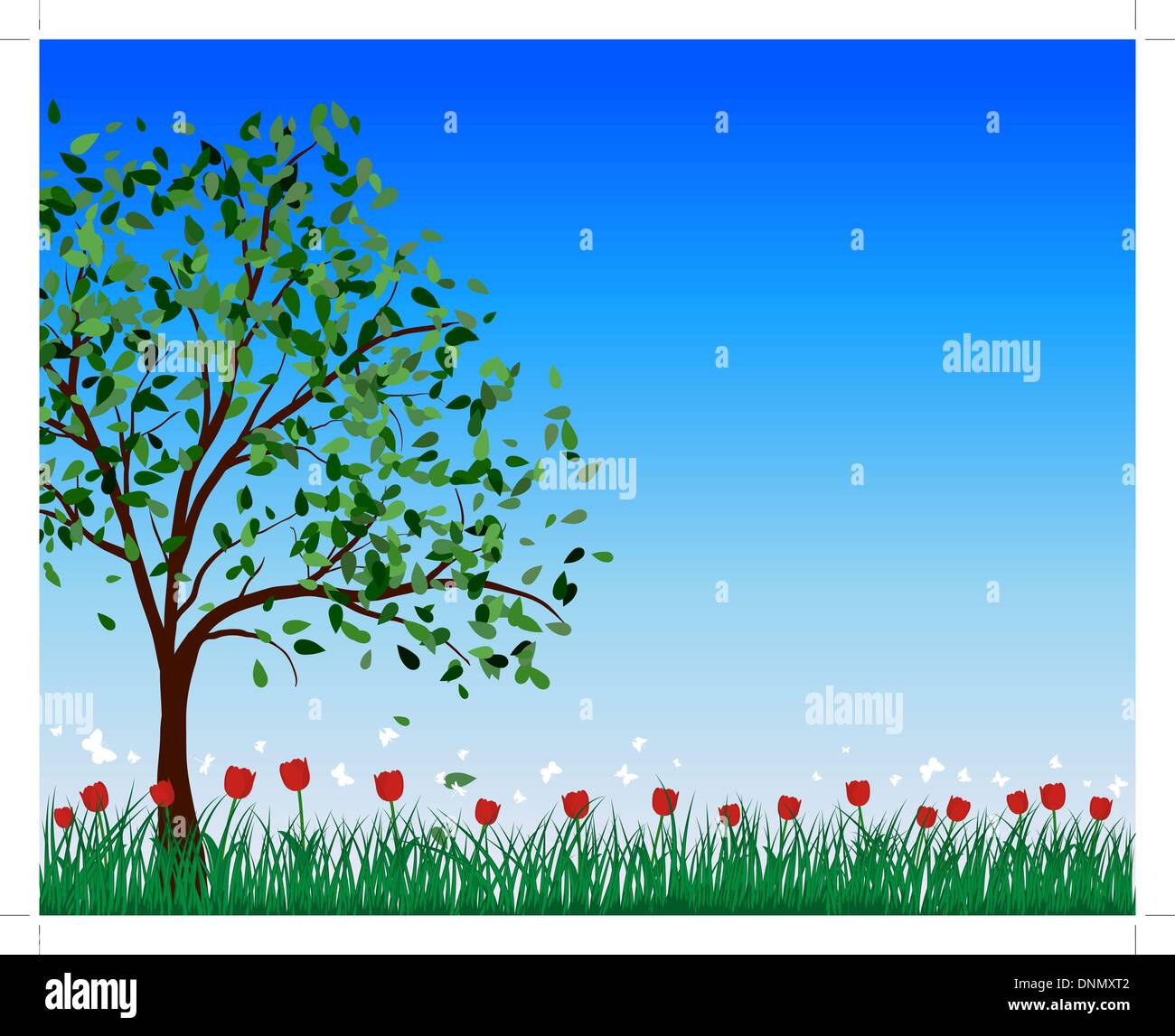Summer meadow background avec des tulipes. Illustration vecteur EPS 10. Illustration de Vecteur