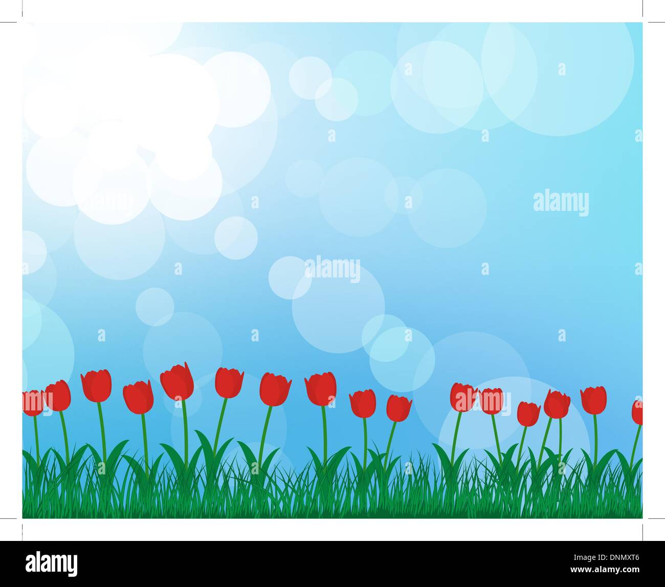 Summer meadow background avec des tulipes. Illustration vecteur EPS 10 avec transparence et de mailles. Illustration de Vecteur