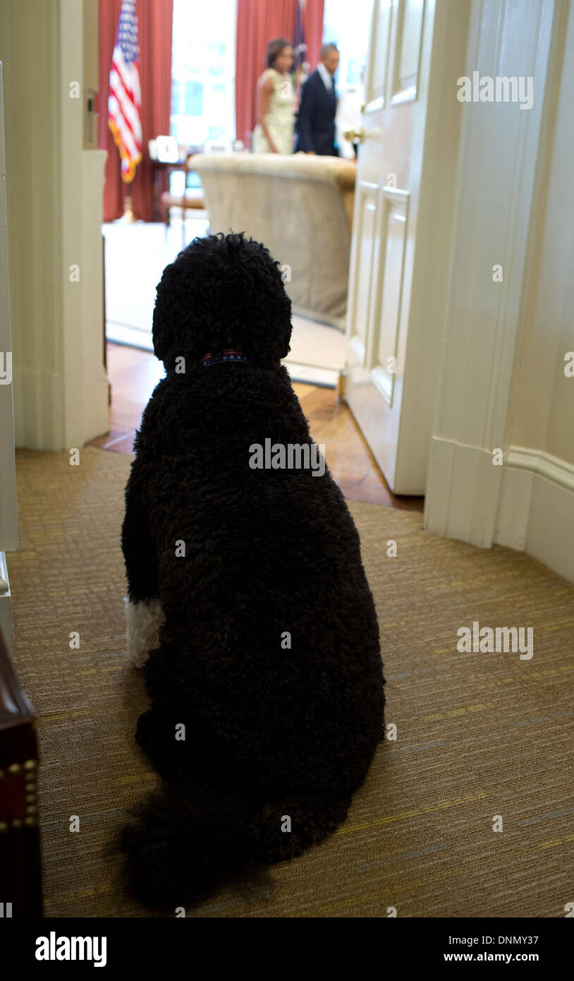 Bo, le chien de la famille se trouve à l'extérieur du bureau ovale en regardant le président américain Barack Obama et la Première Dame Michelle Obama à la Maison Blanche le 30 août 2013 à Washington, DC. Banque D'Images