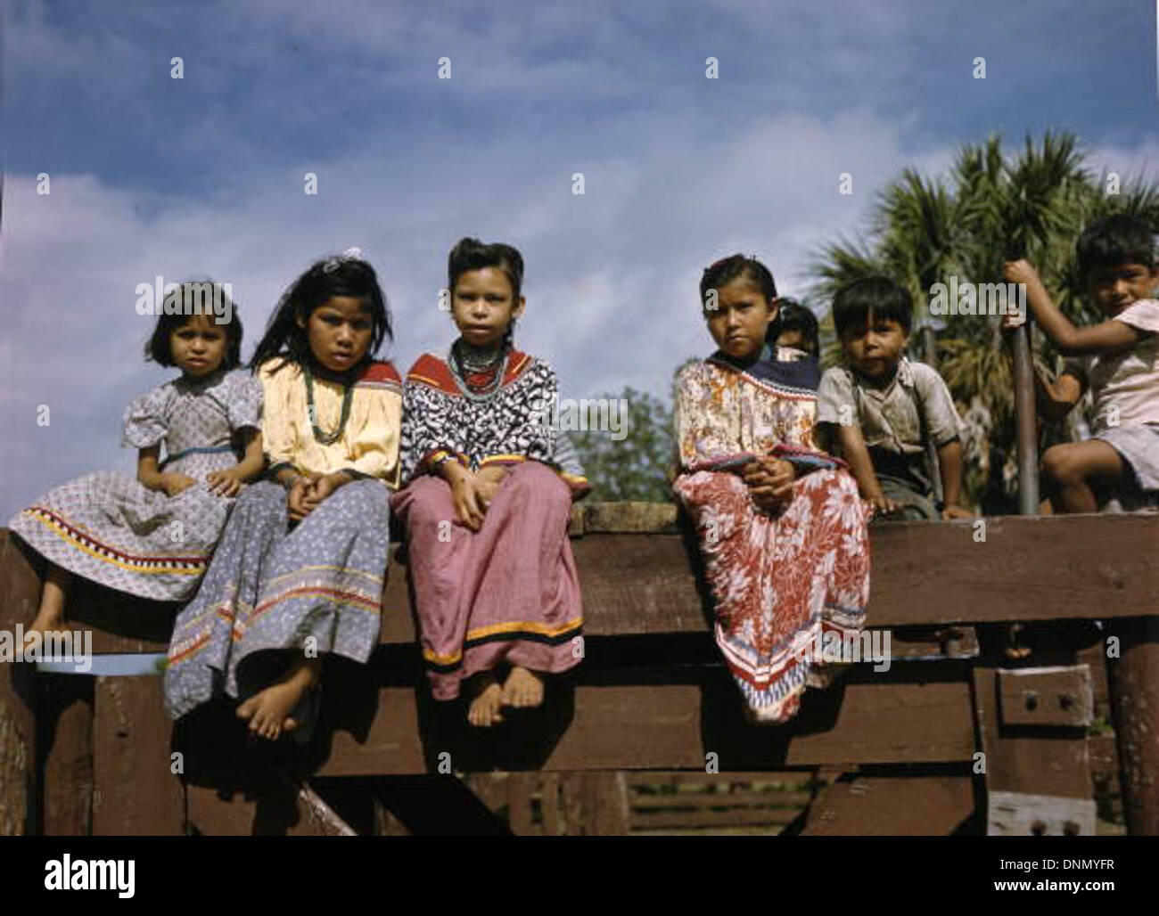 Enfants observant la marque de veaux dans la réserve indienne Seminole de Brighton, en Floride dans les années 1940 L'image, capturée par Joseph Janney Steinmetz, documente la culture séminole et les pratiques d'élevage. Banque D'Images
