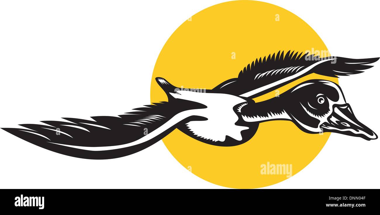 Illustration d'un canard colvert goose flying fait en style rétro. Illustration de Vecteur