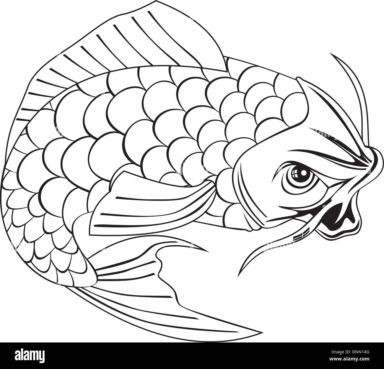 Le dessin des lignes d'une carpe koï poisson sautant. Illustration de Vecteur