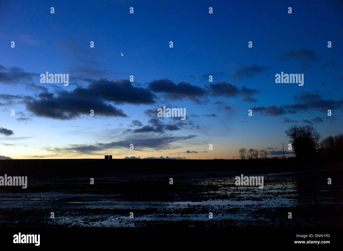 L'aube plus de champs inondés, lune, Normandie, France, Nouvelle lune Banque D'Images