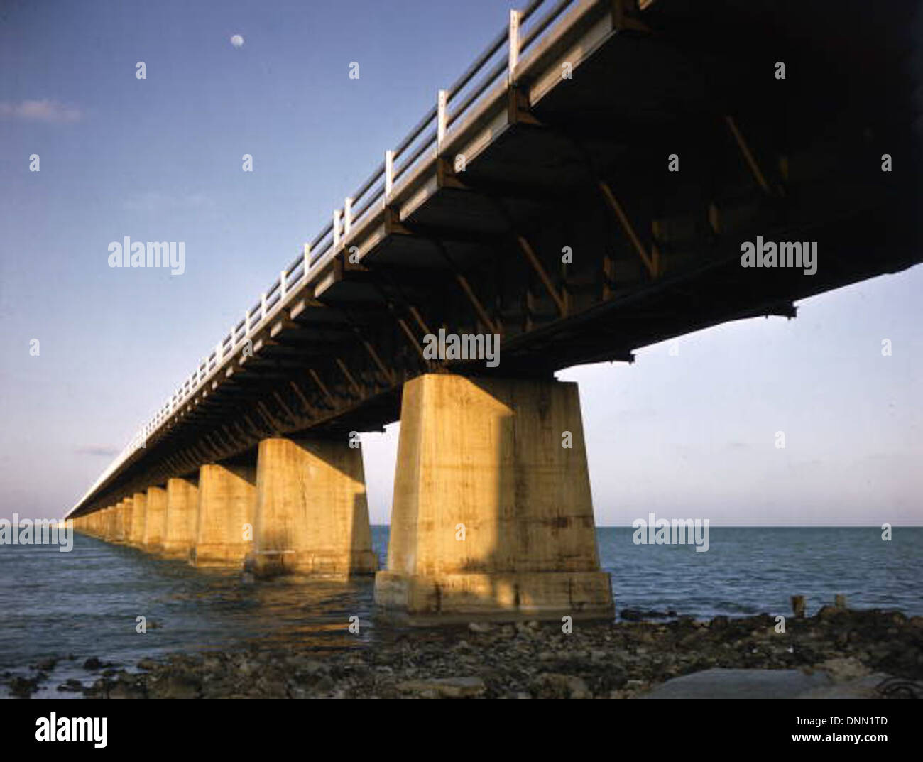Le pont Overseas Highway dans les Keys de Floride, construit dans les années 1950, reliant Key West au continent. Ce pont, un élément emblématique de l'infrastructure de Floride, est illustré dans une photo historique de la collection Joseph Janney Steinmetz. Banque D'Images