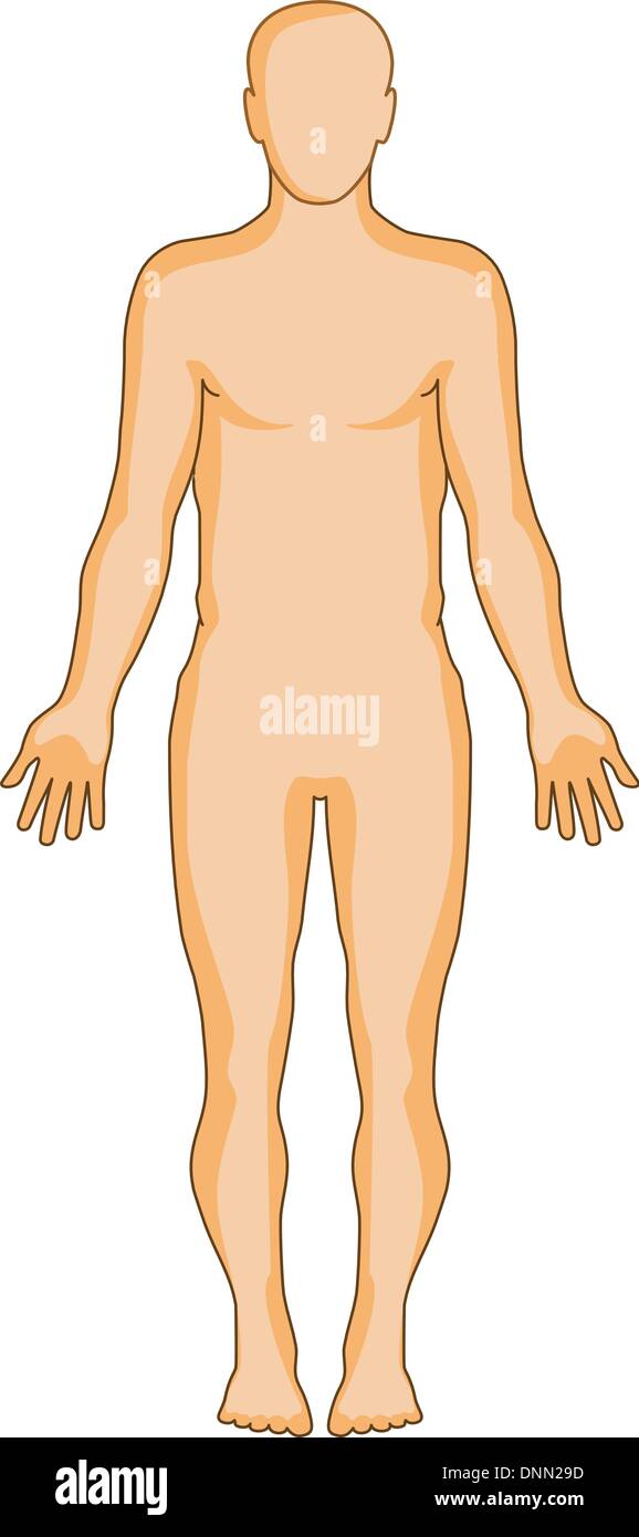 Illustration de l'homme avec le système circulatoire isolé sur fond blanc fait en style rétro. Illustration de Vecteur