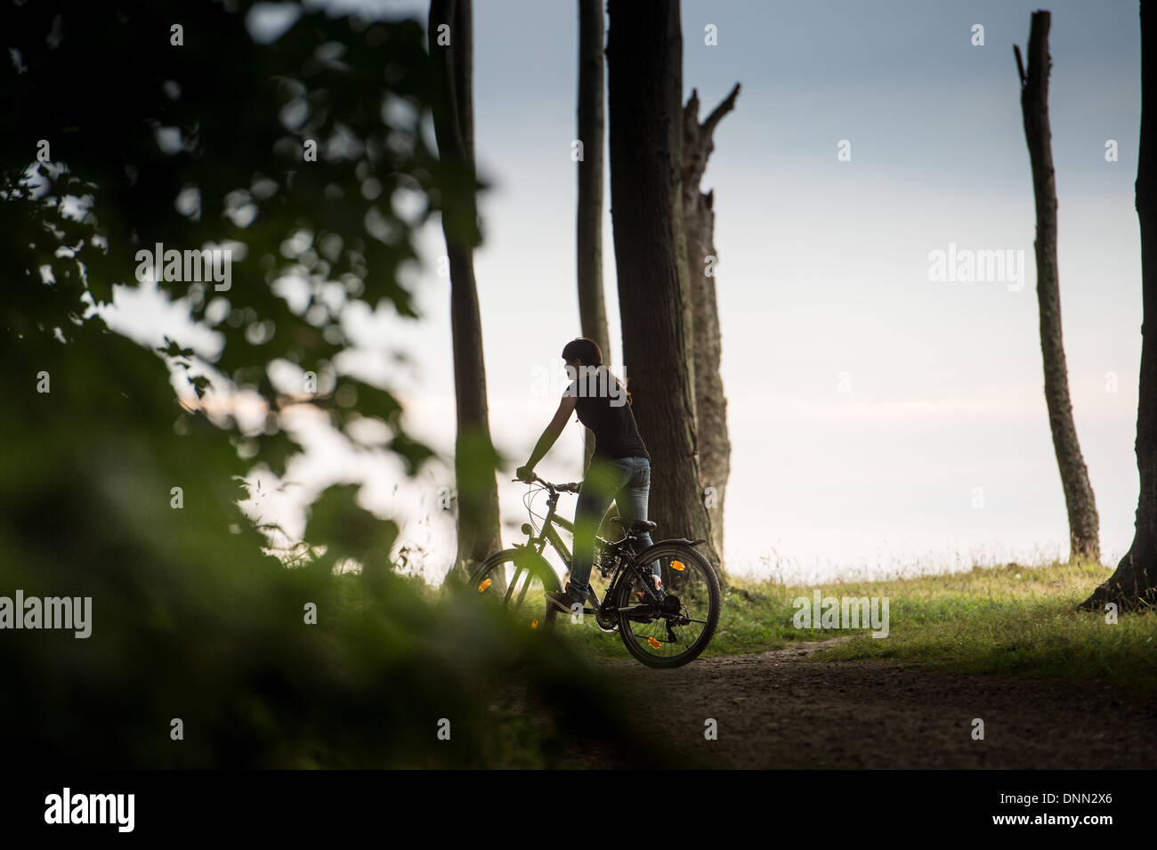 Rostock, Allemagne, du cyclisme féminin dans la forêt près de Nienhagen Banque D'Images
