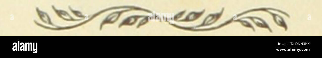 Cette image, tirée de 'Fugitive Poems' de Trent Trevors, présente une page de l'édition 1861 de l'œuvre. La collection présente des poèmes qui étaient autrefois inédits ou « fugitifs », illustrant l'exploration par le poète des émotions humaines et des thèmes sociaux. Banque D'Images