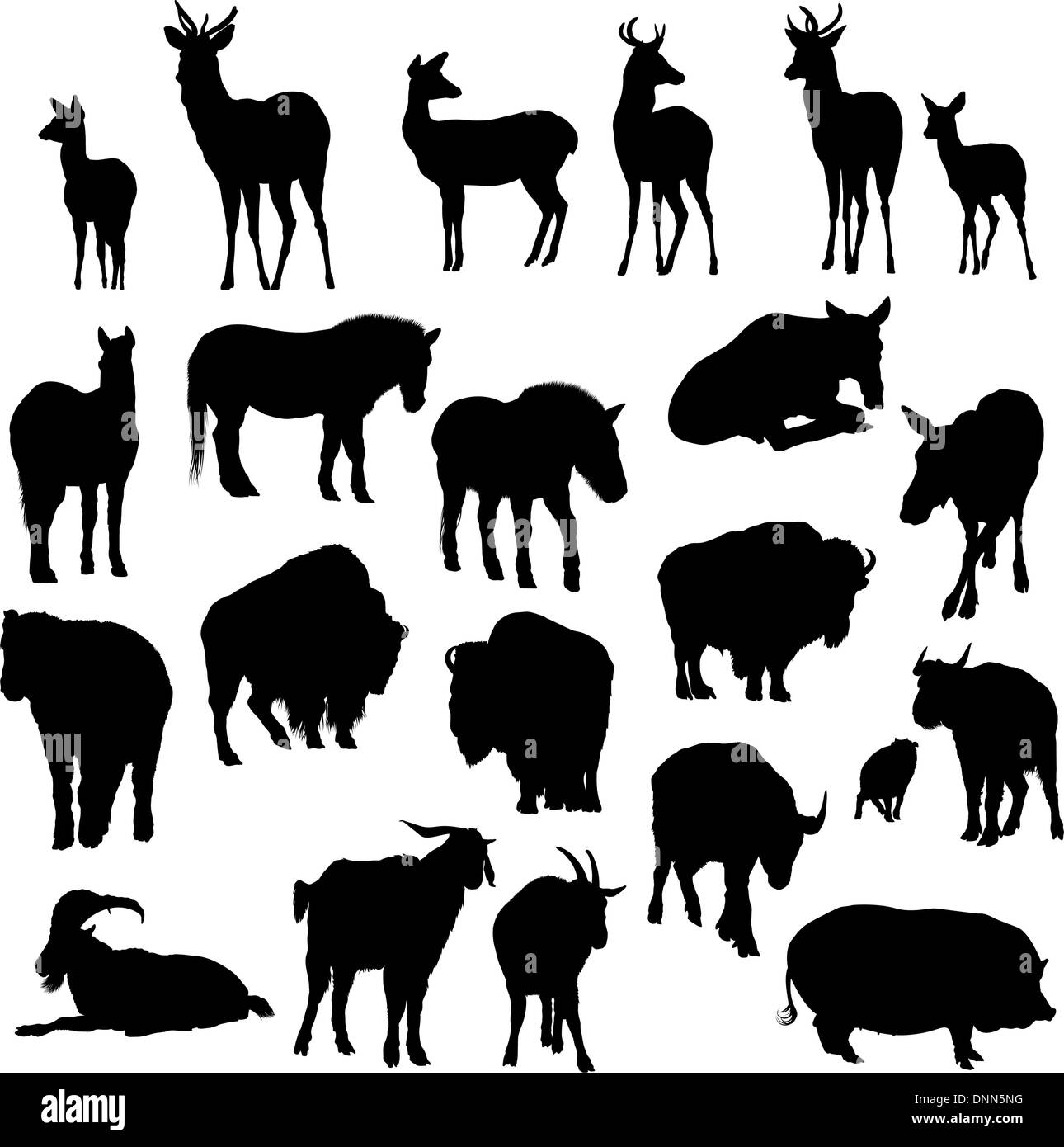 Ensemble de cerfs, chevaux, chèvres, yaks, buffles et cochon de silhouettes. Vector illustration. Illustration de Vecteur