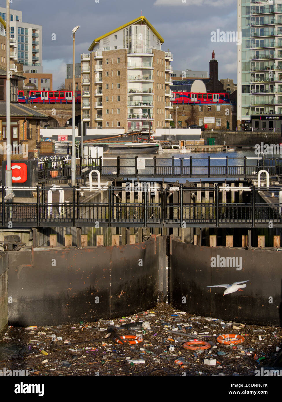 Les déchets en plastique et Zoé par Limehouse Basin près de Tamise avec le peuplier et le train DLR en arrière-plan lointain, London, UK Banque D'Images